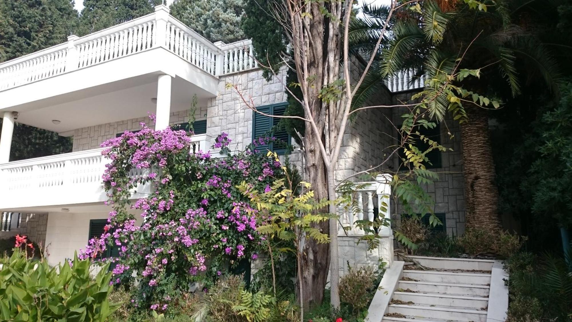 Bg Villa Apartment Xl Sutomore Kültér fotó